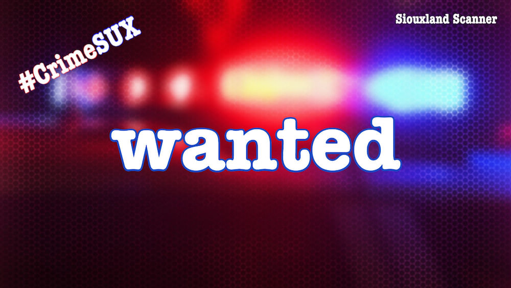 Wanted Suspect flees police after tip